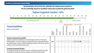 Uzaktan Çalışma ve Uzaktan Liderlik Raporları