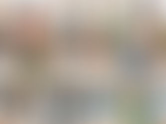 DEIA: Çeşitlilik, Eşitlik, Kapsayıcılık ve Erişilebilirlik (Diversity, Equity, Inclusion, and Accessibility)