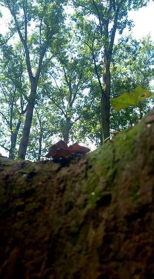 20260601_143222_edited.jpg