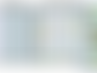 New MONET Publication in Macromolecules