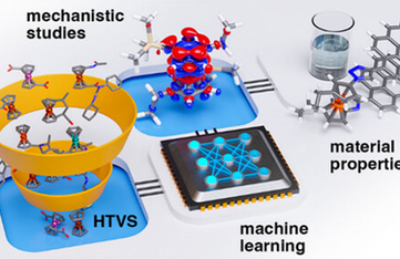 Mechanophores are molecules that undergo chemical changes in response to mechanical force, offering unique opportunities in chemistry, materials science, and drug delivery. However, many potential mechanophores remain unexplored. For example, ferrocenes are attractive targets as mechanophores due to their combination of high thermal stability and mechanochemical lability. However, the mechanochemical potential of ferrocene derivatives remains dramatically underexplored despite the synthesis of thousands of structurally diverse complexes. Herein, we report the computational, machine learning guided discovery of synthesizable ferrocene mechanophores. We identify over one hundred potential target ferrocene mechanophores with wide-ranging mechanochemical activity and use data-driven computational screening to identify a select number of promising complexes. We highlight design principles to alter their mechanochemical activation, including regio-controlled transition state stabilization through bulky groups and a change in mechanism through noncovalent ligand–ligand interactions. The computational screening is validated experimentally both at the polymer strand level through sonication experiments and at the network level, where a computationally discovered ferrocene mechanophore cross-linker leads to greater than 4-fold enhancement in material tearing energy. This work establishes a generalizable framework for the high-throughput discovery and rational design of mechanophores and offers insights into structure–activity relationships in mechanically responsive materials.