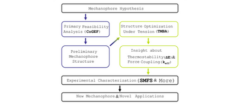 Advancing mechanoresponsive materials require novel mechanophores, though clear and structured design guidelines are still emerging. In this work, we present a systematic workflow aimed at facilitating the design and discovery of new mechanophores. By integrating the classic iso-metrical CoGEF approach with our innovative iso-tensional Tension Model of Bond Activation (TMBA) simulation, the workflow described herein enables comprehensive evaluation of mechanophore candidates prior to experimental implementation, with a practical case study included for detailed illustration. This predictive capability allows computational screening, efficient identification and filtering away unexpected issues while providing valuable insights for potential structural optimization.