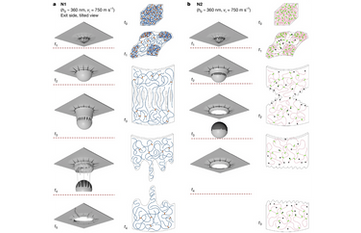 Graphical abstract