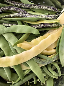 beans
