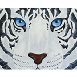 white_tiger_170