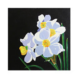 white_daffodils_170
