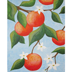 orange_tree_170