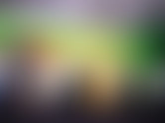 Inaugura el Secretario de Agricultura Ismael Bello, CONISIAPA 2025; innovación y seguridad fitosanitaria, una prioridad