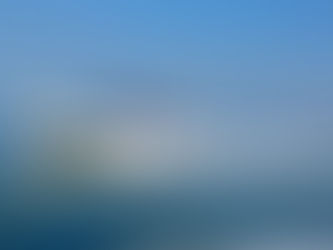 Sinaloa protege la biodiversidad marina y garantiza la viabilidad de la pesca para el futuro de las comunidades pesqueras