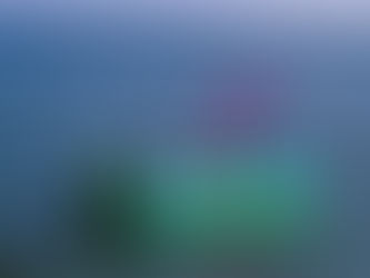 En Altata dan banderazo al Programa de Inspección y Vigilancia 2026 e inicio de la veda del camarón en el Pacífico