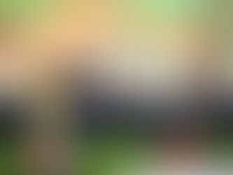 México ocupa el quinto lugar como productor de mango a nivel mundial: Ismael Bello Esquivel