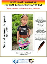 equity in action year 2 report.PNG