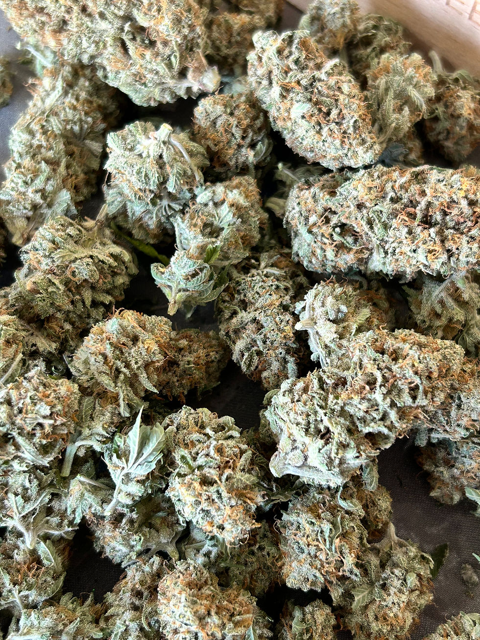 Eye-level view of a cozy living room setup with cannabis accessories