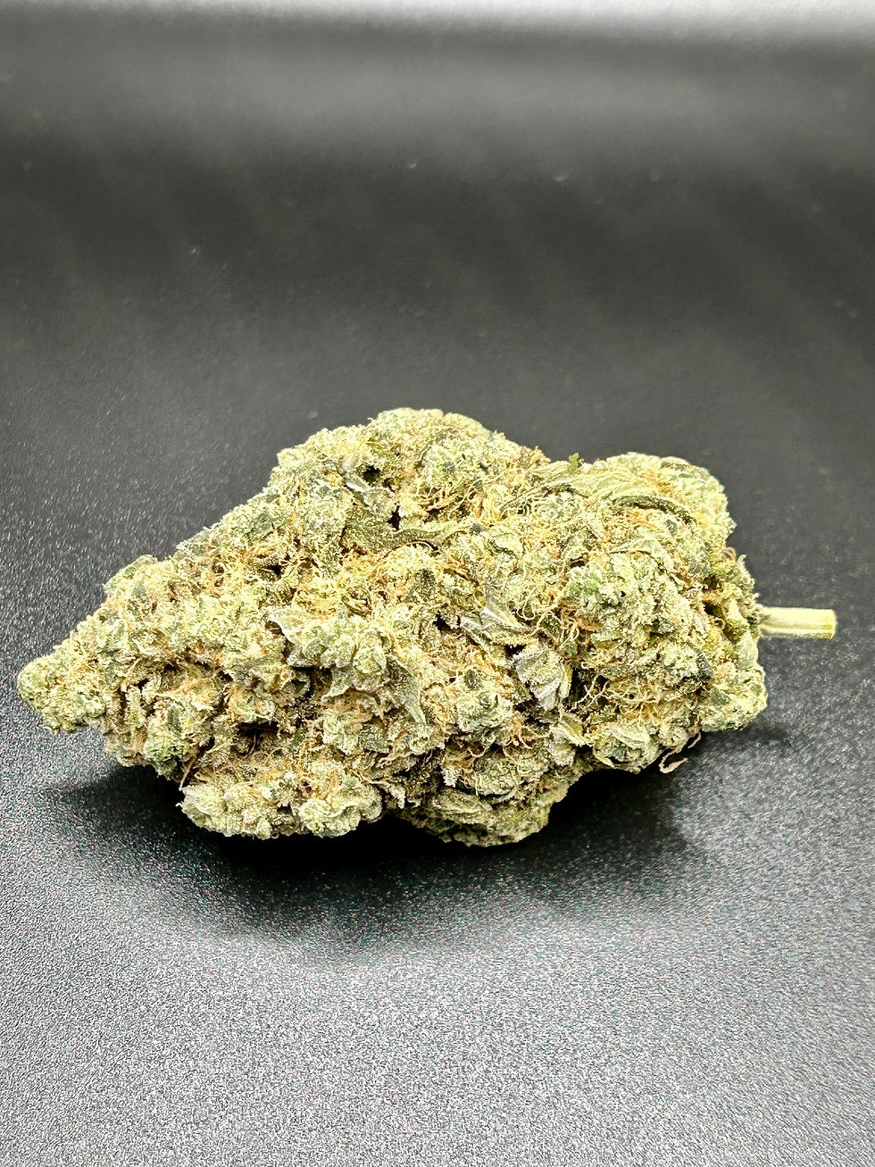 Wet Trim vs. Dry Trim: Maximizing Quality and Efficiency in Cannabis Harvesting