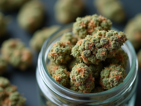 My Unexpected Love Affair with Sweet Cherry Kush at an Amsterdam Coffee Shop