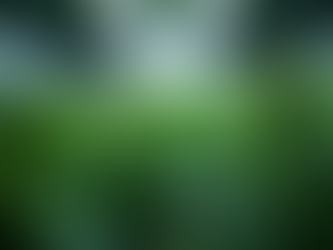 Master Your Cannabis Growing Setup