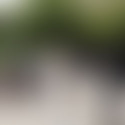 A Vigil Held in Remembrance