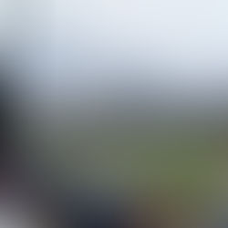 Panthers Baseball Falls to Plattsburgh as Defensive Woes Cost Purchase