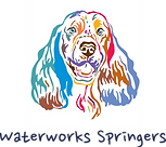 Waterworks Springers Logo