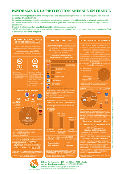 Infographie-Panorama-Protection-Animale-