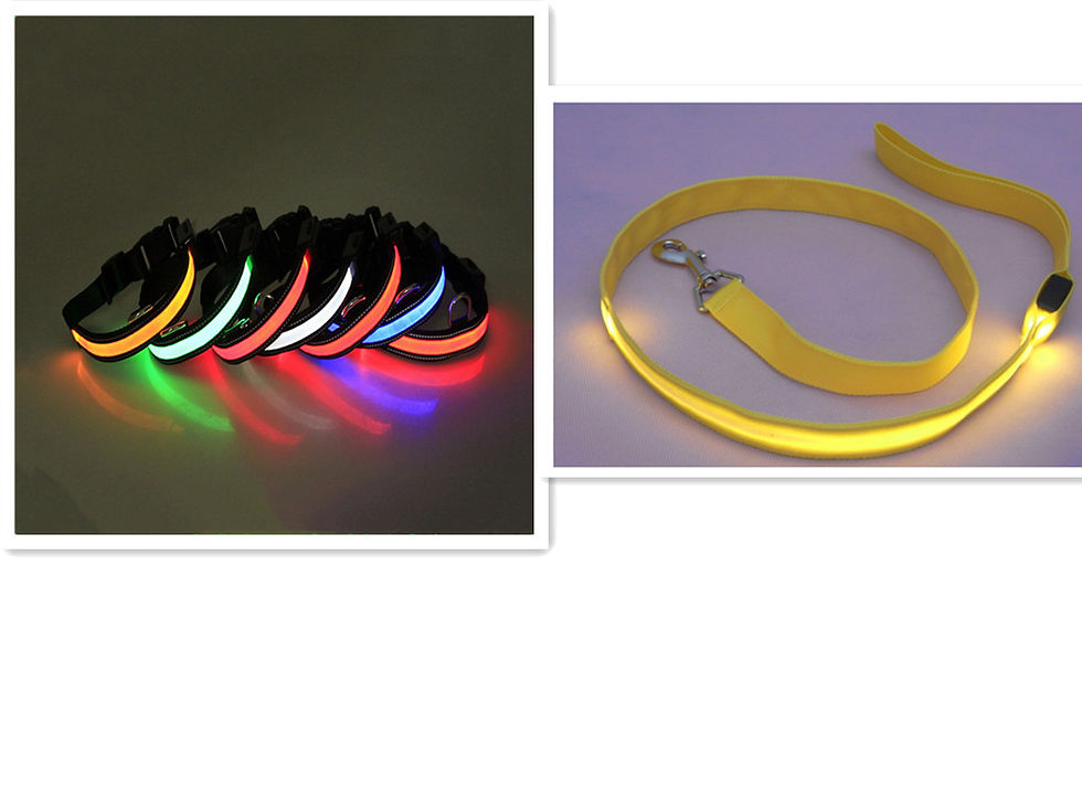 Thumbnail: LED Dog Leash with Fluorescent Dog Collar