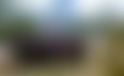 黒田緑化事業団に対して松井一郎大阪府知事から感謝状が送られました