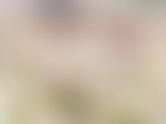 Wedding Flower Pricing in 2026: How Trump's Tariffs Could Affect Your Wedding Budget