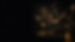 motion graphic banner.jpg