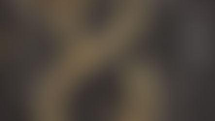 'Serpent and Dove' by Shelby Mahurin