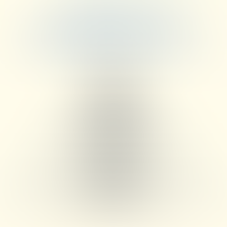 What are people looking for in a leader?