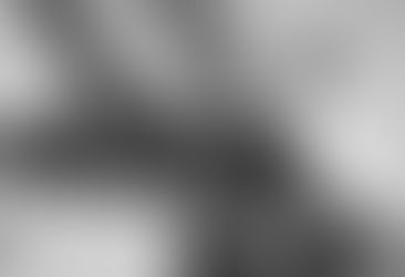 Values: The behaviors people see, not the words you write