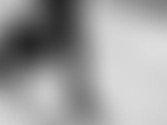 Wat is het verschil tussen een holding en een werkmaatschappij?