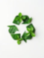 blaadjes in vorm van duurzaamheid logo