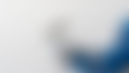 Hiring a painter from Klussenbox