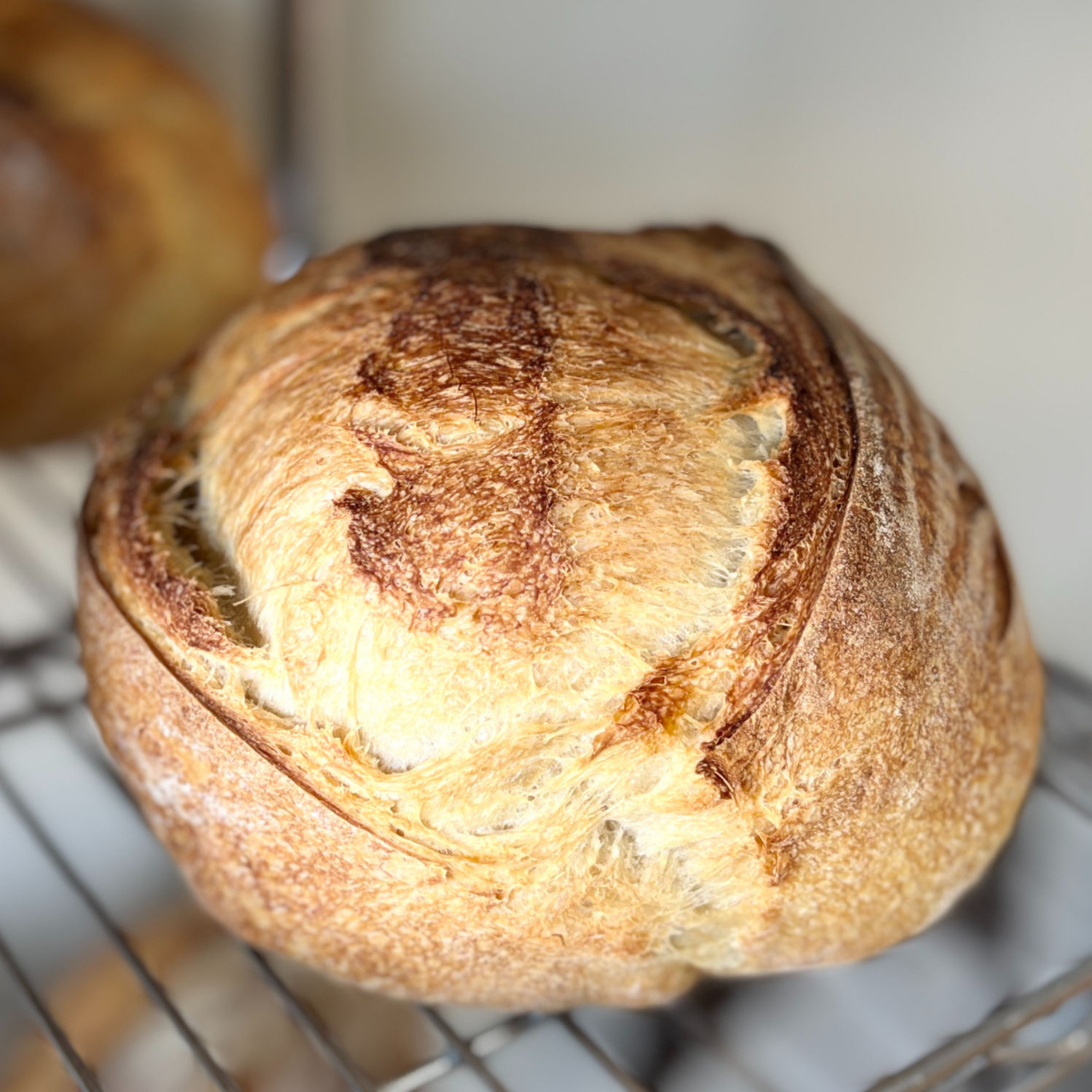 Country Loaf (800g)
