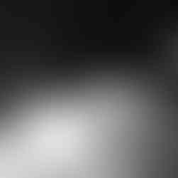 An Opposum is on the compost