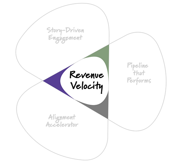 Revenue Velocity framework—designed to help CROs and GTM teams reduce friction, increase operational speed, and turn strategy into scalable results.