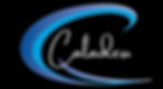 Caladesi Logo Centered Black_edited_edited_edited.jpg