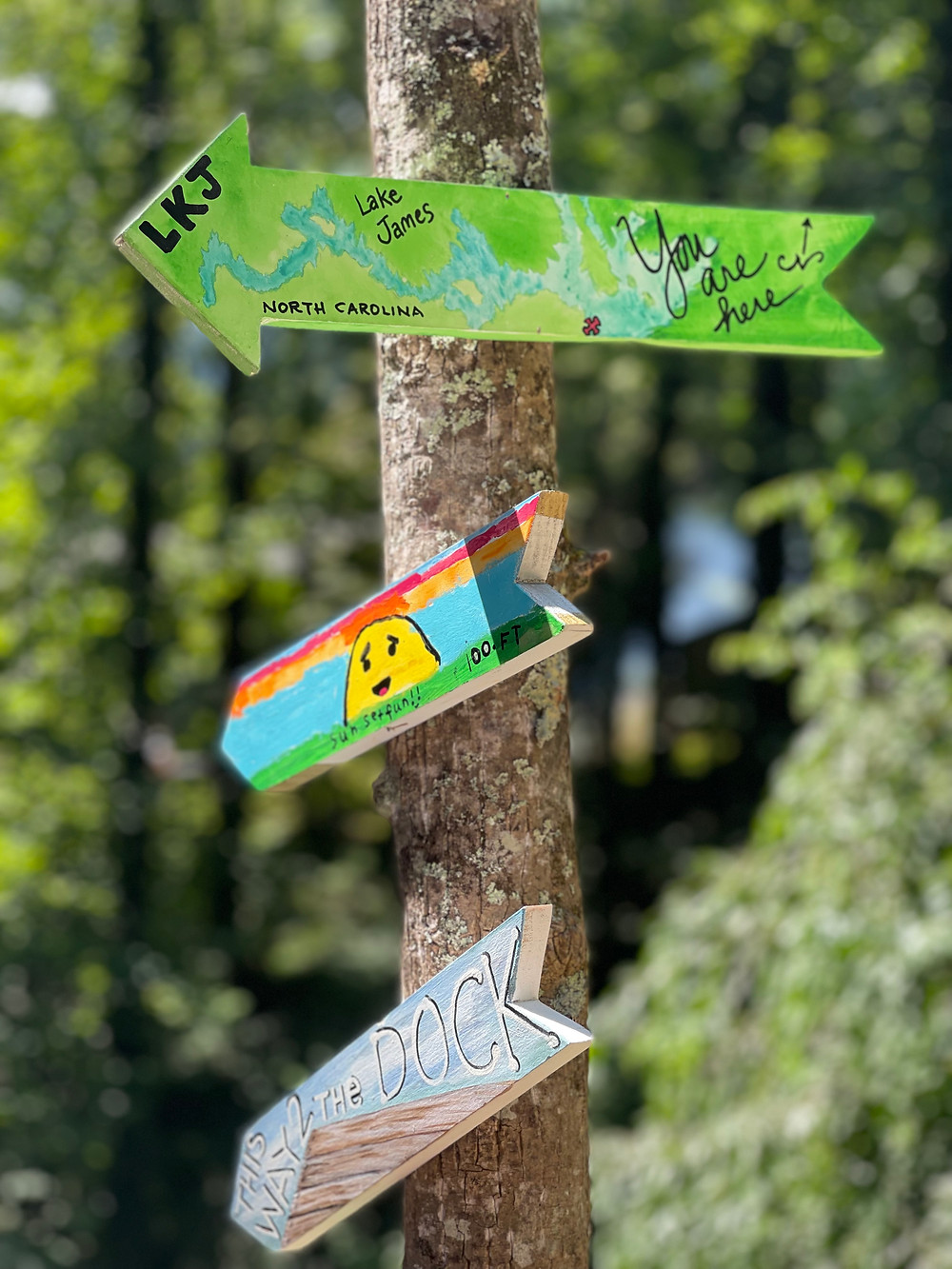 Directional signs that the kids painted for the different attractions around. We plan of adding more as time goes by and we explore more and more.