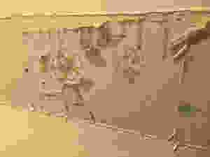 old wallpaper