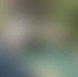 Canyoning du Gours du Ray, le canyoning d'initiation pour tous complet à 1h30 de Nice