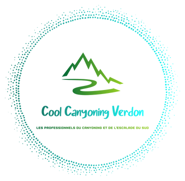 Color logo - no background (3).png