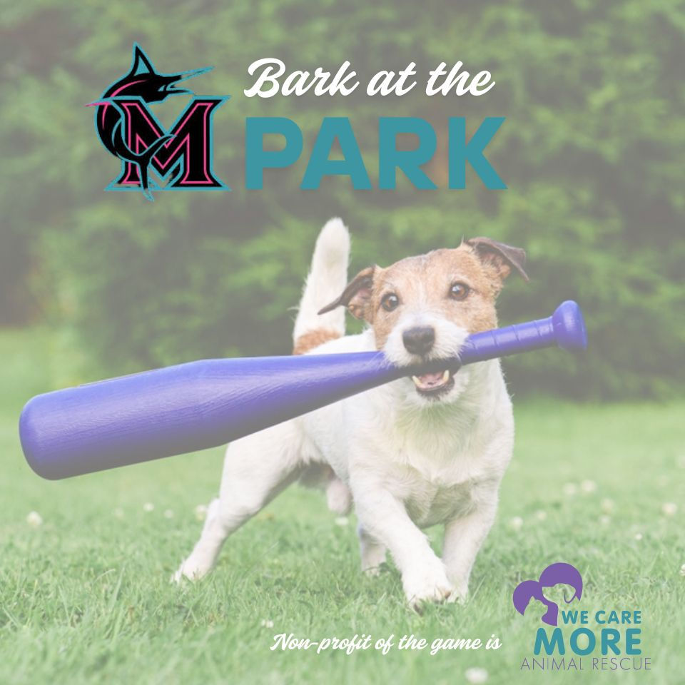 Bark at the Park