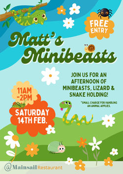 CSN - Matts Minibeasts (A1)