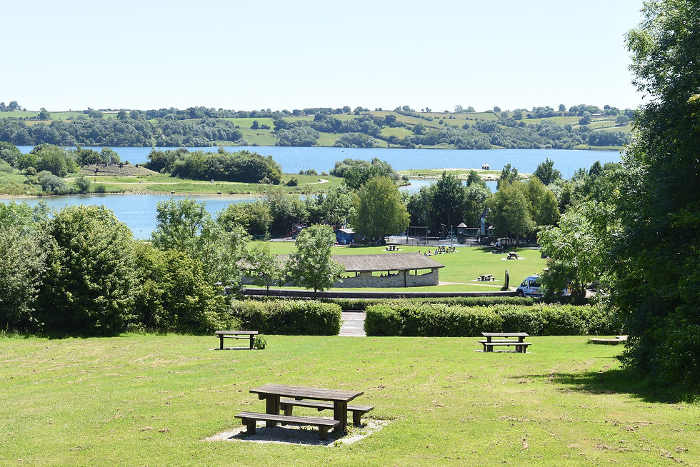 Picnic Areas and Playground