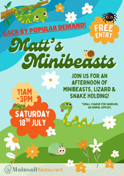 CSN - Matts Minibeasts 18th July (A4)