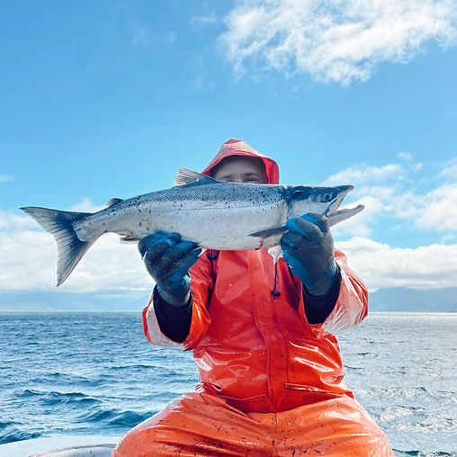 Wild Alaskan Seafood Kodiak Fish Co