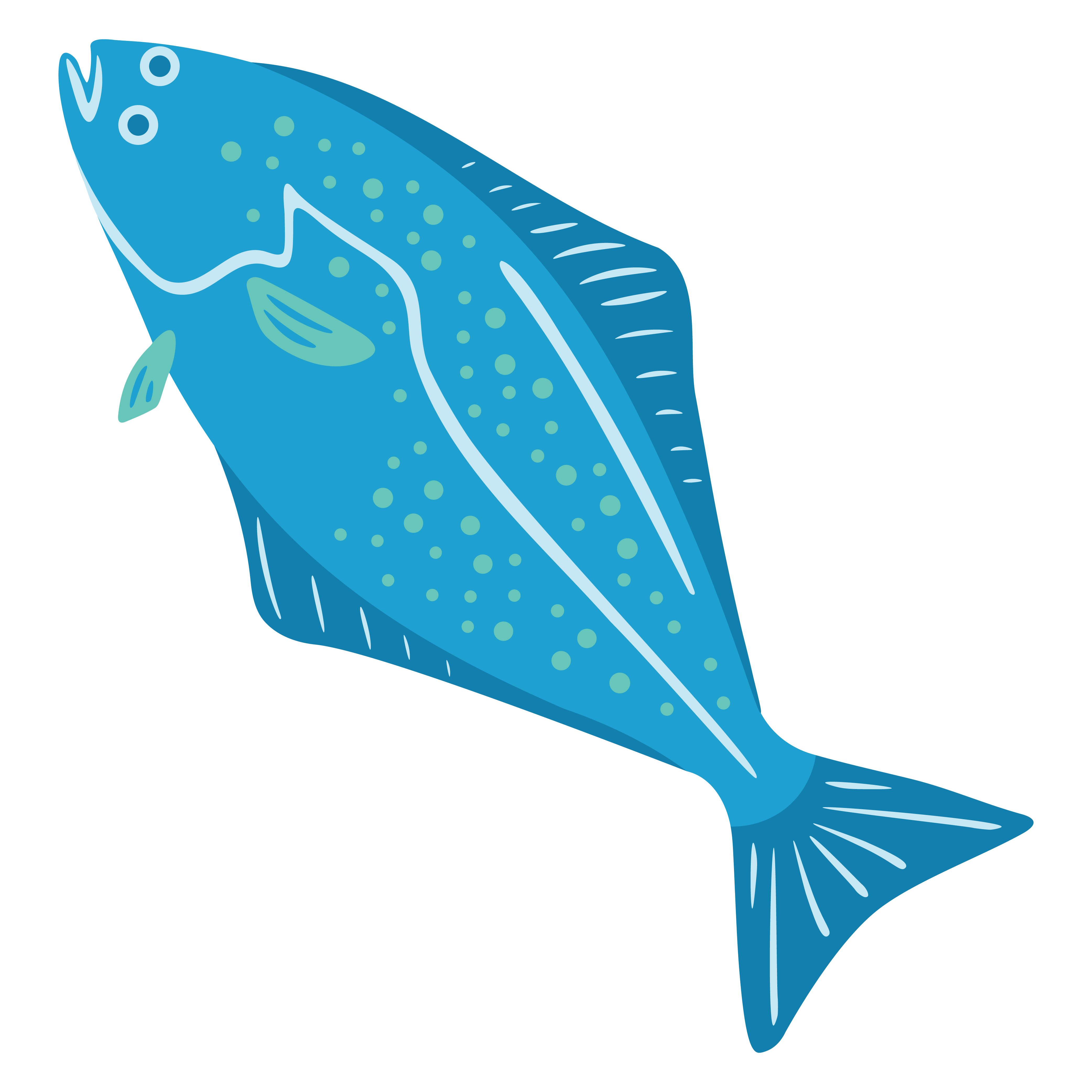 Wild Alaskan Halibut