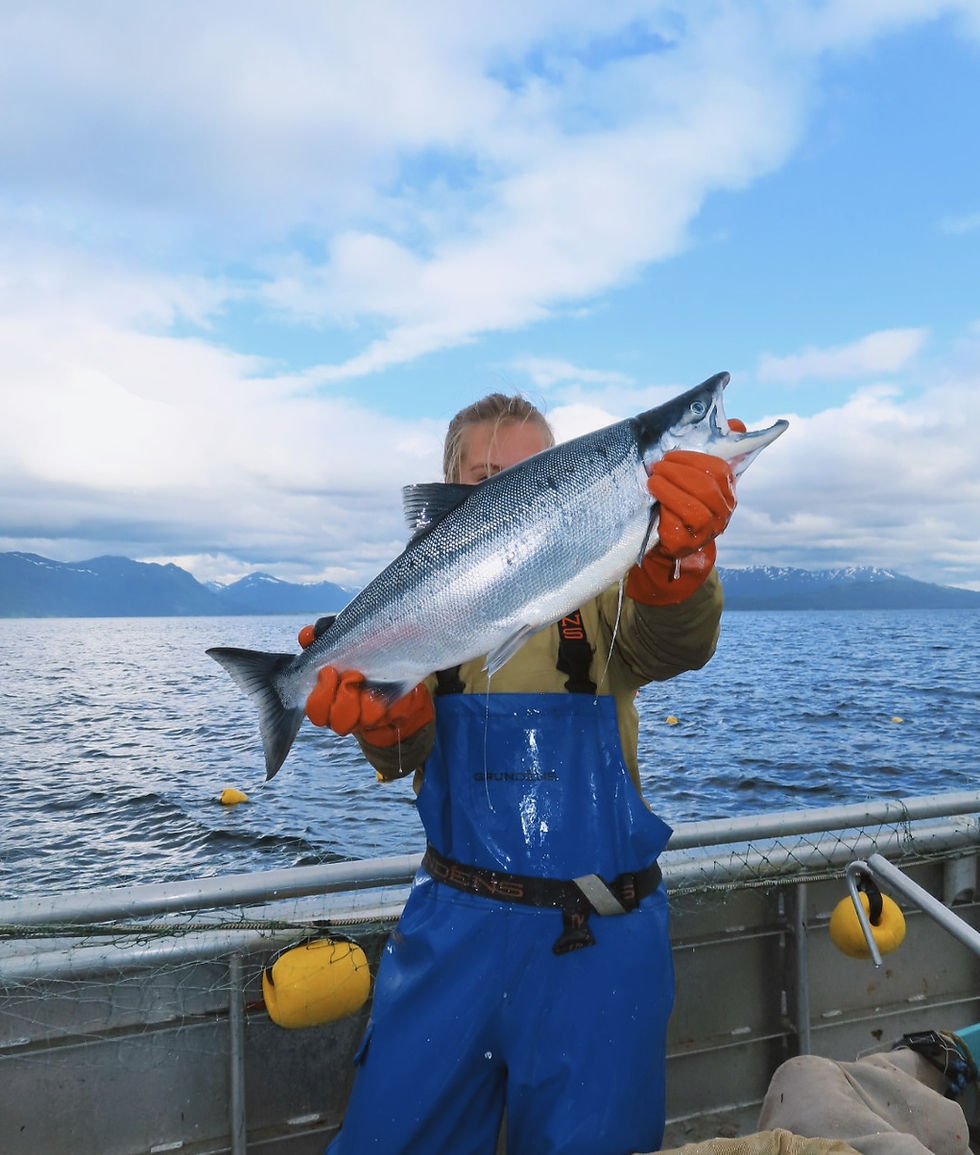 Thumbnail: Wild Sockeye Salmon (5 lbs.)