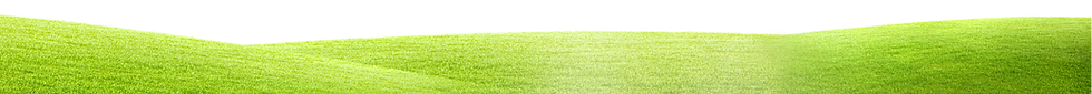 pngegg%20(4)_edited.png